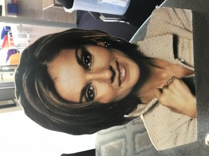 celine dion display